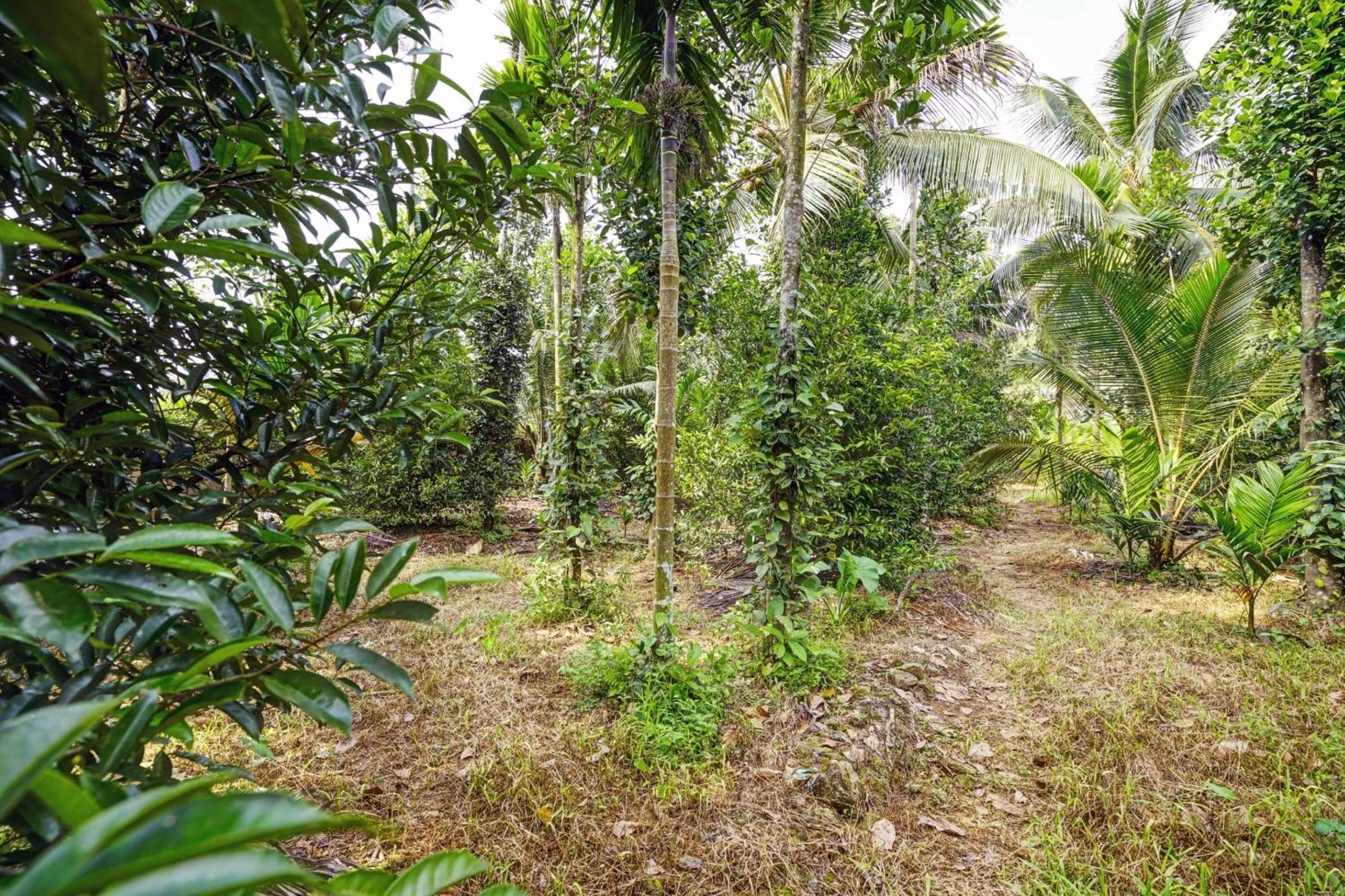Spot On Shalom Palace Residency Neriyamangalam Esterno foto