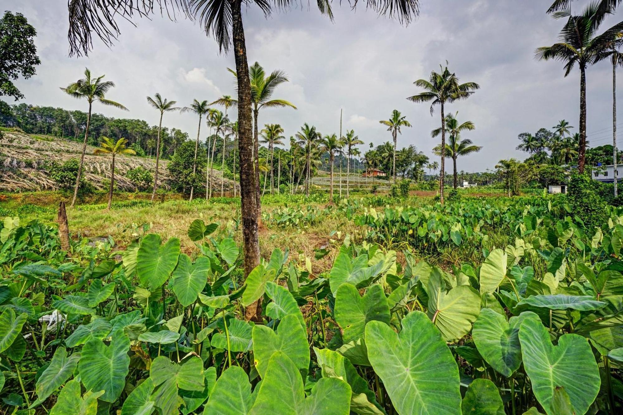 Spot On Shalom Palace Residency Neriyamangalam Esterno foto