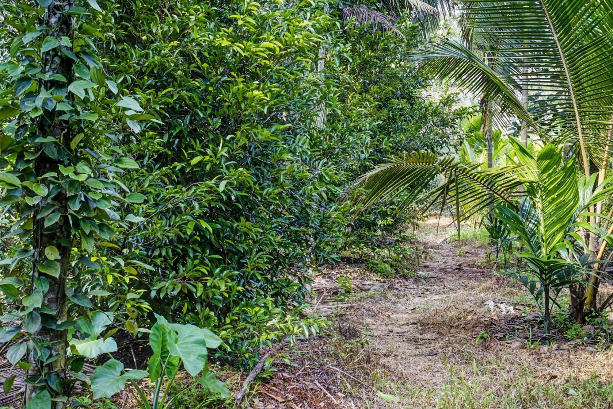 Spot On Shalom Palace Residency Neriyamangalam Esterno foto