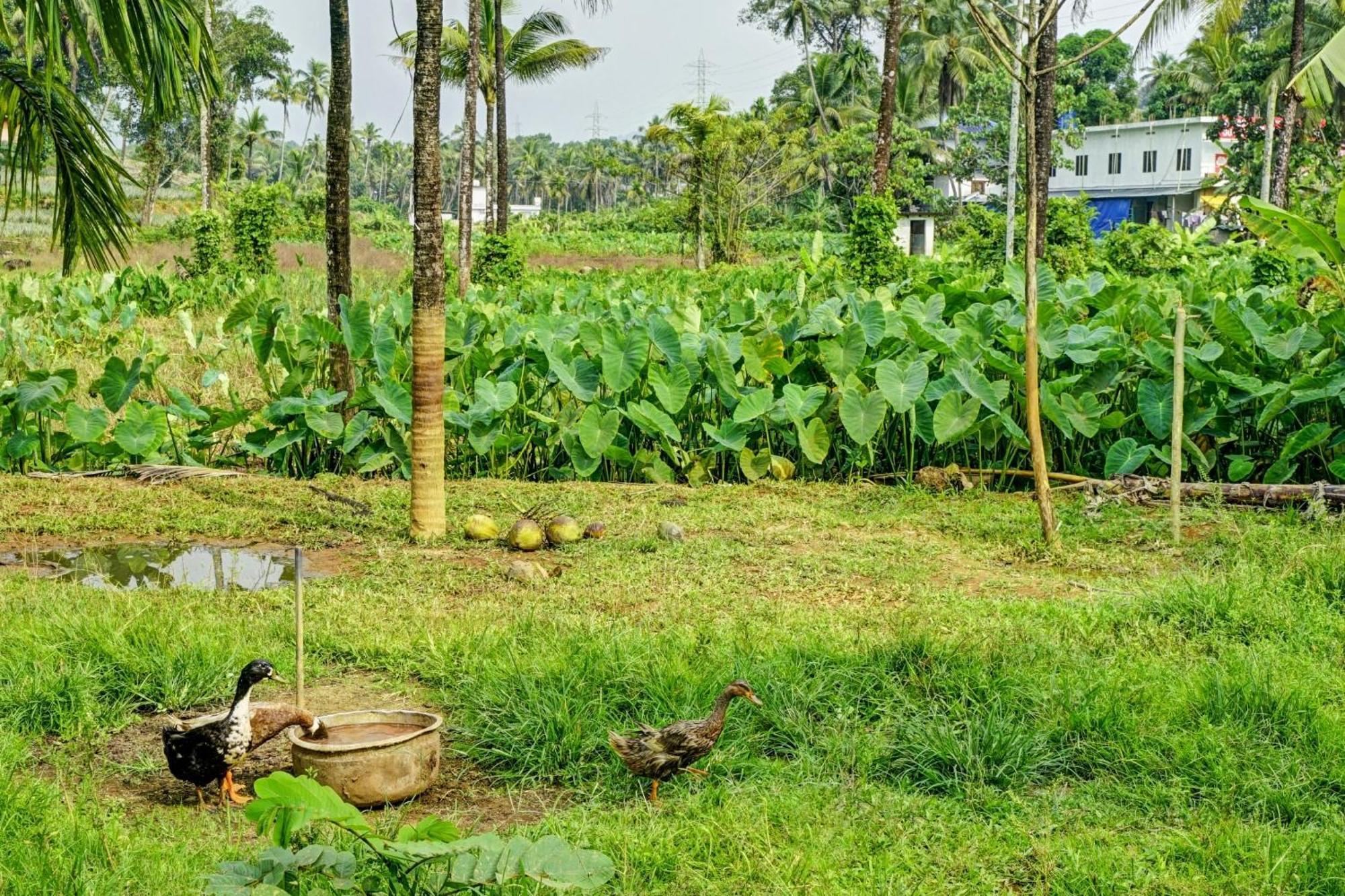 Spot On Shalom Palace Residency Neriyamangalam Esterno foto